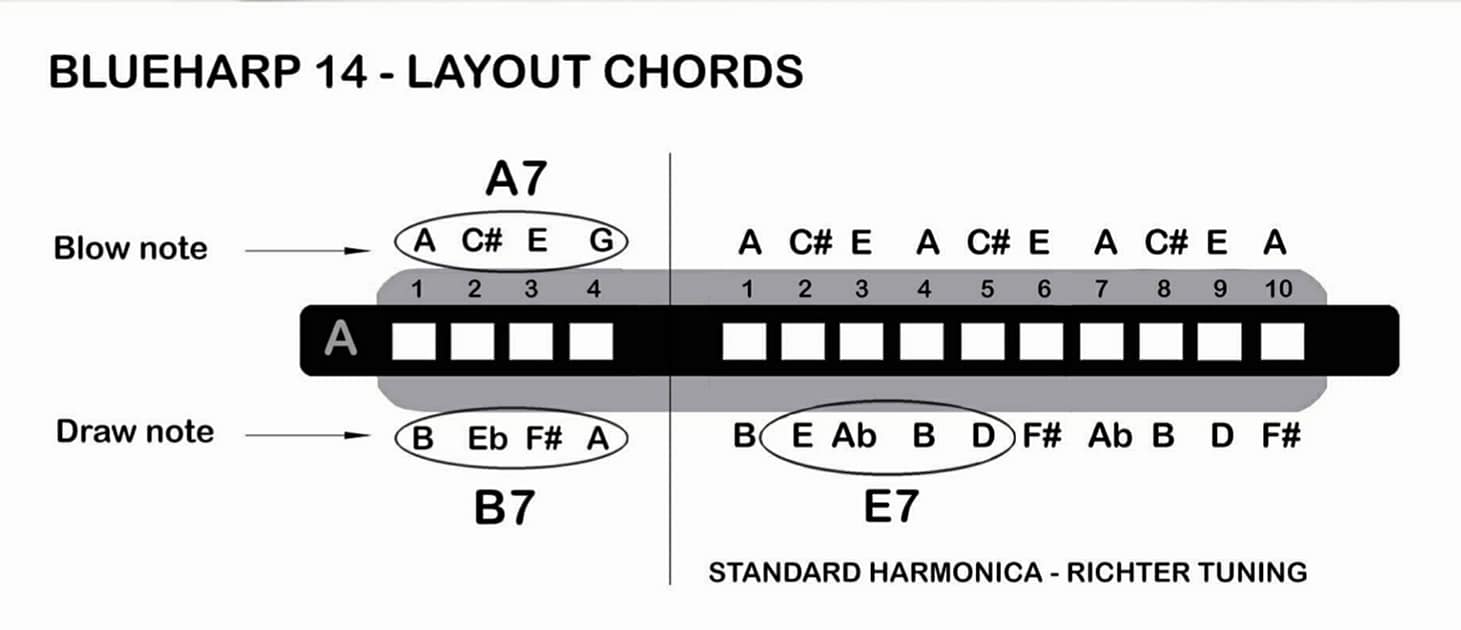 Blueharp 14 Blues Chord Harmonica Tonalità C Colore Red